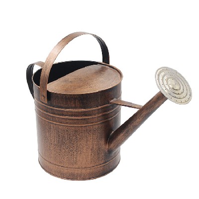 Copper Colored Metal Indoor Outdoor Plant Watering Can for House Plants