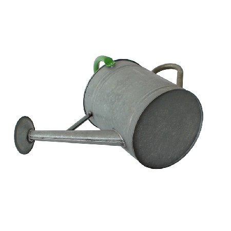 10L Galvanised Watering Can