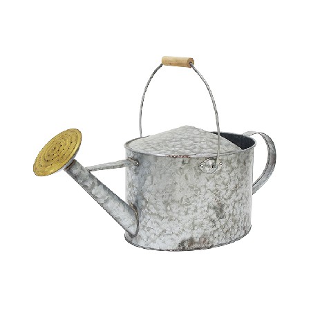 Garden galvanized silver vintage watering can