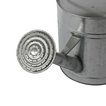 Round Nature Galvanized Steel Watering Can